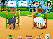 Giochi di Cavalli da Addestrare - Horsecare Apprenticeships